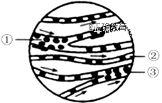 www.xiangpi.com