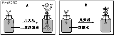 植物生长所需的含量最多的无机盐是含氮磷钾氮磷无机盐,含 无机盐,含