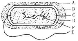 www.xiangpi.com