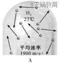 www.xiangpi.com