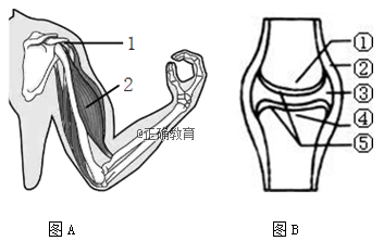www.xiangpi.com