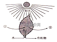 www.xiangpi.com
