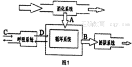 www.xiangpi.com