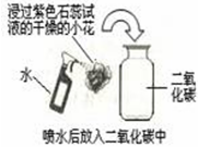 www.xiangpi.com