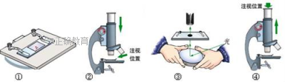 www.xiangpi.com