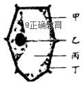 www.xiangpi.com