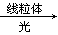 www.xiangpi.com