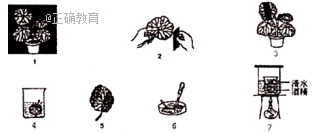 www.xiangpi.com