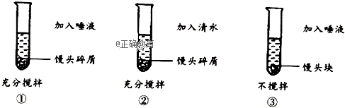 www.xiangpi.com