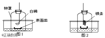 www.xiangpi.com