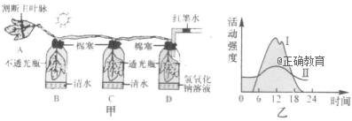 www.xiangpi.com