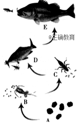 www.xiangpi.com