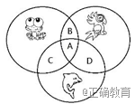 www.xiangpi.com