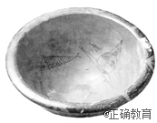 www.xiangpi.com