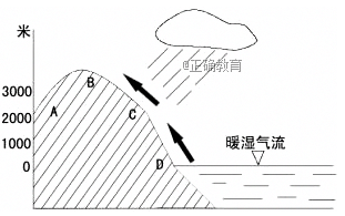 www.xiangpi.com