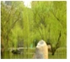 www.xiangpi.com