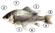 www.xiangpi.com