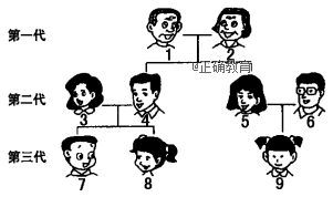 www.xiangpi.com
