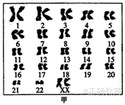 www.xiangpi.com