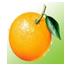 www.xiangpi.com