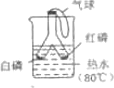www.xiangpi.com