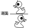 www.xiangpi.com