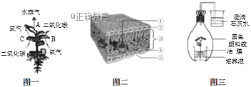 www.xiangpi.com