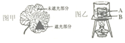 www.xiangpi.com