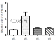 www.xiangpi.com