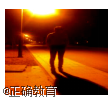 www.xiangpi.com