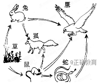 www.xiangpi.com
