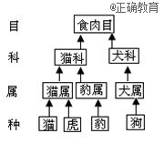 www.xiangpi.com