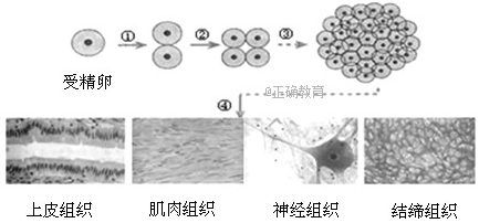 www.xiangpi.com