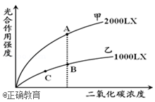 www.xiangpi.com