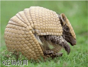 www.xiangpi.com