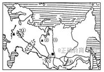 www.xiangpi.com