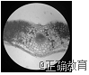 www.xiangpi.com