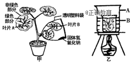 www.xiangpi.com