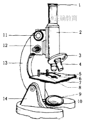 www.xiangpi.com