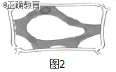 www.xiangpi.com