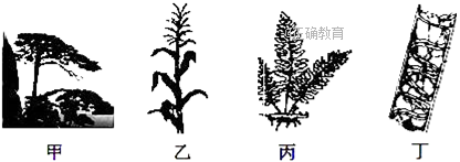www.xiangpi.com