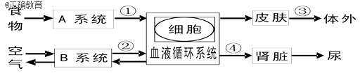 www.xiangpi.com
