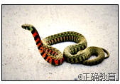 www.xiangpi.com