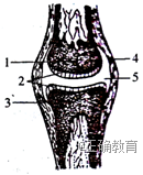 www.xiangpi.com