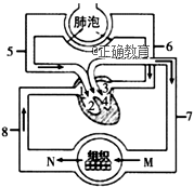 www.xiangpi.com