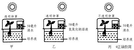 www.xiangpi.com