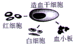 www.xiangpi.com