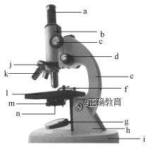 www.xiangpi.com