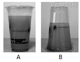 www.xiangpi.com