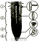 www.xiangpi.com